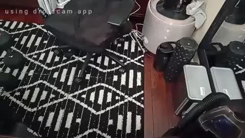 Snapshot of blakjag chatting on 16, 2, 2025 Blackjag00 online show from 16, 2, 2025