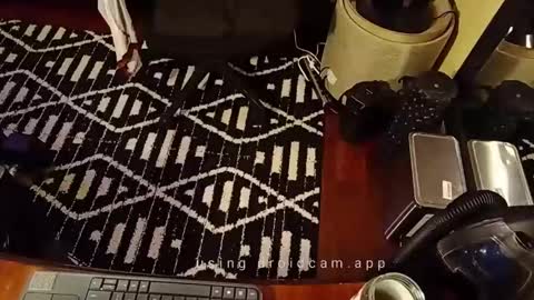 Snapshot of blakjag chatting on 19, 2, 2025 Blackjag00 online show from 19, 2, 2025