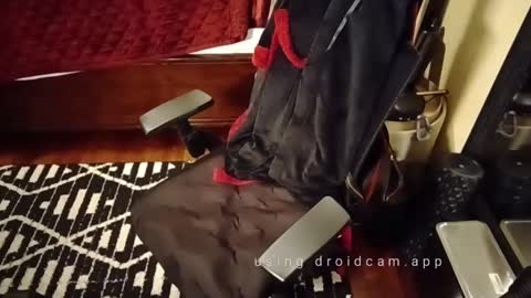 Snapshot of blakjag chatting on 3, 3, 2025 Blackjag00 online show from 3, 3, 2025