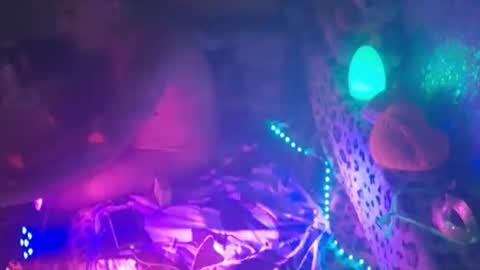 BlassyBlue online show from 5, 7, 2026
