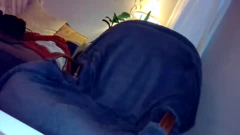 DickRex21 online show from 28, 12, 2024