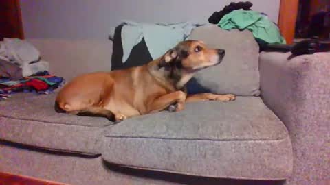 blaw_1321 online show from 8, 3, 2025