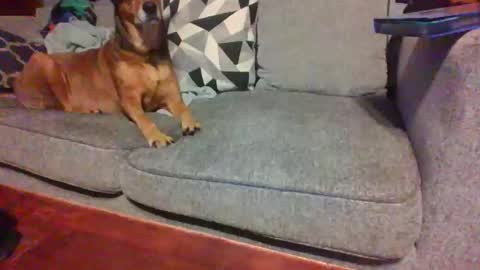 blaw_1321 online show from 14, 11, 2025