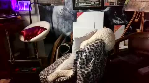 blindsurfer780299 online show from 30, 3, 2026