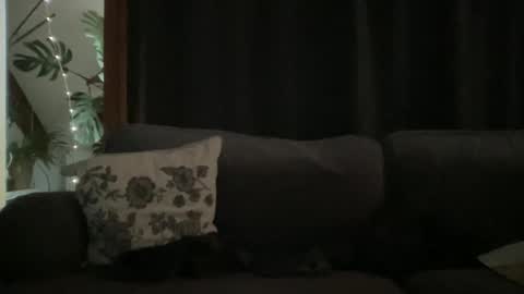 BlIdoL online show from 18, 12, 2025