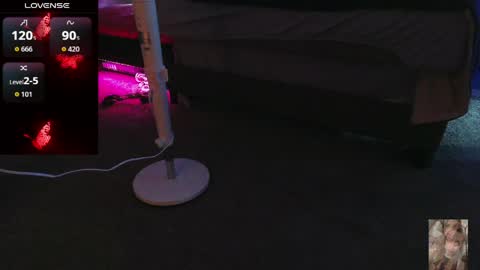 Bubbles online show from 27, 4, 2026