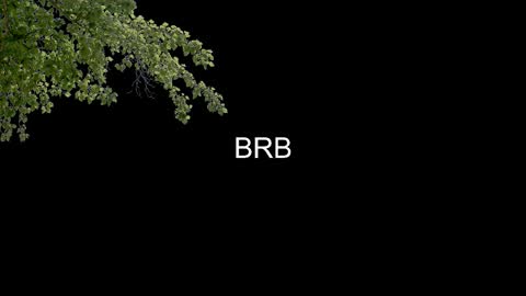 SONNYVAN online show from 14, 1, 2026