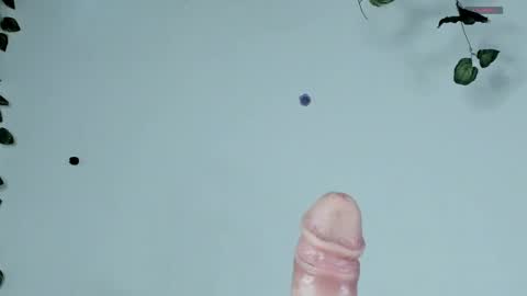 Sophie  online show from 12, 4, 2026