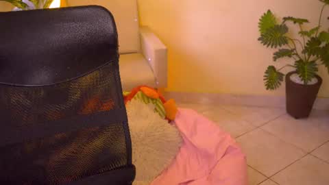 FLORAA online show from 13, 6, 2026