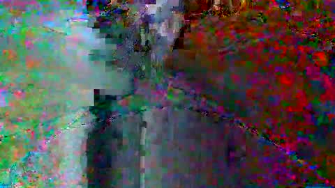 bluegum00 online show from 8, 6, 2026