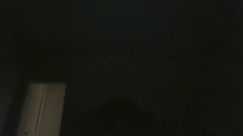 bluemoose70 online show from 11, 1, 2025