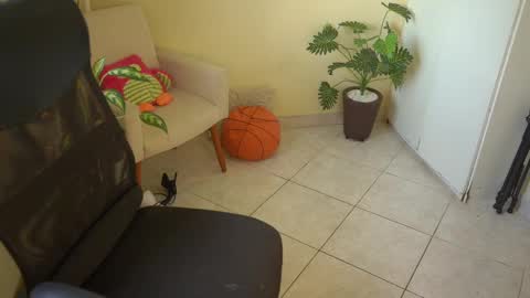 FLORAA online show from 11, 3, 2025