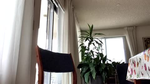 Snapshot of blueyedudeseattle chatting on 21, 9, 2025 Blueyedudeseattle online show from 21, 9, 2025