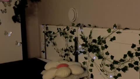 Dolores online show from 25, 4, 2026