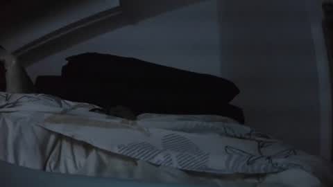 bo22222222 online show from 29, 11, 2025