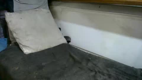 boatfun56 online show from 12, 2, 2026