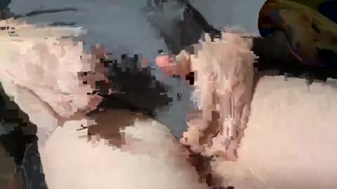 Heath online show from 3, 3, 2025