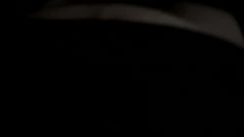 Snapshot of bobdillon401 chatting on 23, 12, 2024 bobdillon401 online show from 23, 12, 2024