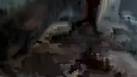 Snapshot of bobdillon401 chatting on 22, 2, 2025 bobdillon401 online show from 22, 2, 2025