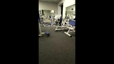 BODI online show from 2, 4, 2026