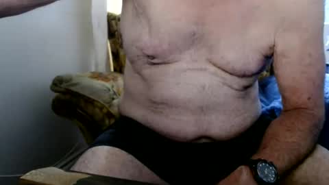 bolbil1 online show from 7, 7, 2026