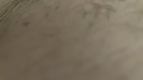 boleco online show from 12, 1, 2025