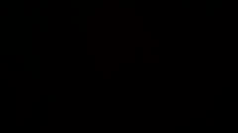 boleco online show from 19, 1, 2025