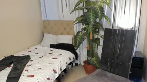 bombshelllaurax online show from 3, 3, 2025