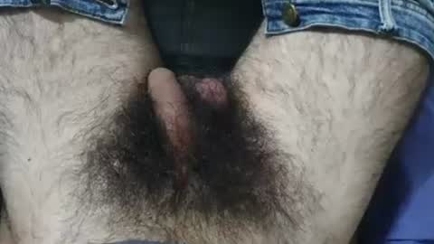 Snapshot of bomvemcam chatting on 13, 6, 2026 Im Bom - Tip if You Liked my Hairy Body - Private Show is Open - Read more about me in the bio below online show from 13, 6, 2026