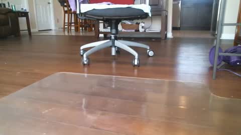 FRECKLES online show from 6, 3, 2025