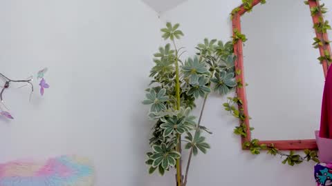   online show from 22, 3, 2026