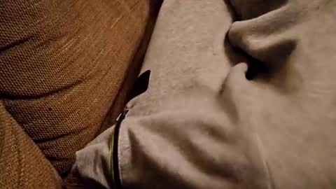 bonny8723 online show from 5, 2, 2025