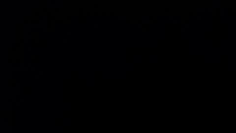 Snapshot of bonny_clyde_xx_ chatting on 12, 12, 2024 Soffy Brooks Independent model online show from 12, 12, 2024