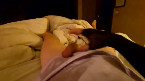 Snapshot of bono0155 chatting on 6, 4, 2026 silky sissy sarah online show from 6, 4, 2026