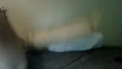 Snapshot of booboobumbum1 chatting on 9, 6, 2026 booboobumbum1 online show from 9, 6, 2026