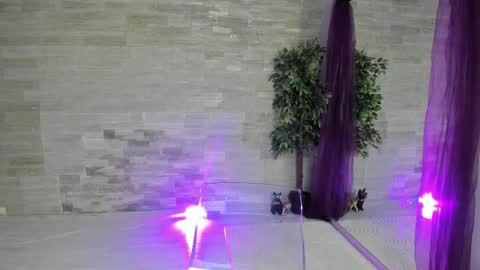 boobzilla_ online show from 2, 2, 2026