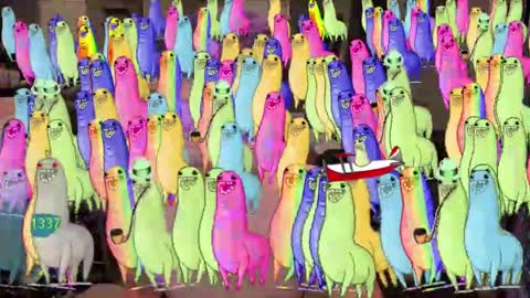 Booker Baxton online show from 11, 2, 2025