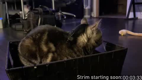 Booker Baxton online show from 11, 10, 2025