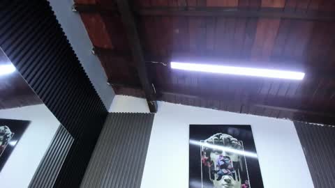   online show from 3, 2, 2026