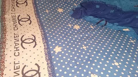 bossetassy online show from 9, 4, 2026