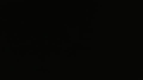 Snapshot of bossram160 chatting on 5, 2, 2025 bossram160 online show from 5, 2, 2025