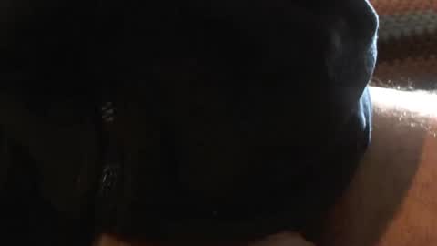 Snapshot of bossram160 chatting on 6, 3, 2025 bossram160 online show from 6, 3, 2025