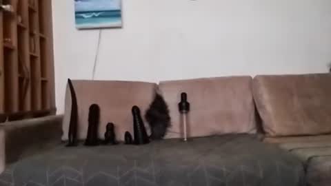 Bes7assquirt online show from 31, 1, 2025