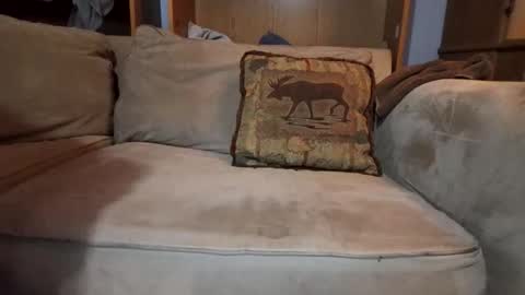 Snapshot of boypussysowet chatting on 9, 2, 2026 smoothslutfordaddy online show from 9, 2, 2026