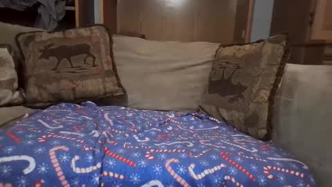 Snapshot of boypussysowet chatting on 12, 2, 2026 smoothslutfordaddy online show from 12, 2, 2026