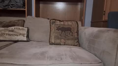 Snapshot of boypussysowet chatting on 4, 3, 2026 smoothslutfordaddy online show from 4, 3, 2026