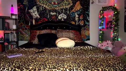 Puddin online show from 23, 2, 2025