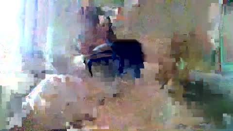 Snapshot of bpbww chatting on 19, 9, 2025 bpbww online show from 19, 9, 2025