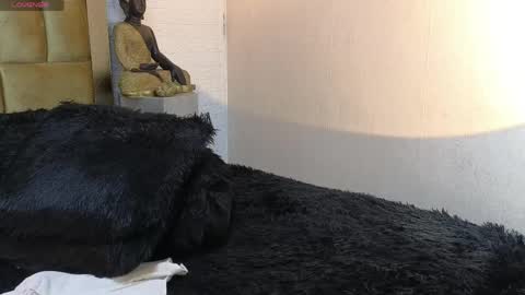 Brand  online show from 7, 4, 2026