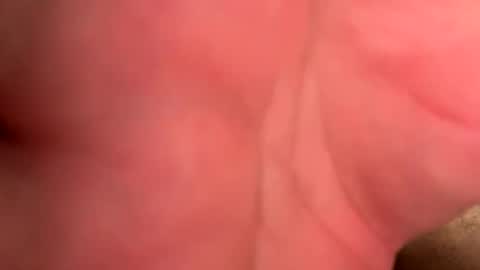 Branden online show from 15, 4, 2026